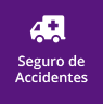 Seguro de Accidentes
